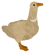 petz289.gif