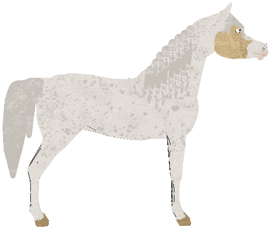 petz222.gif