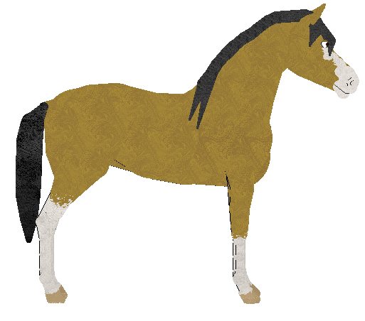 petz229.gif