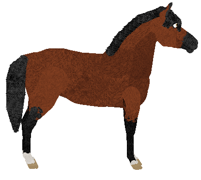 petz241.gif