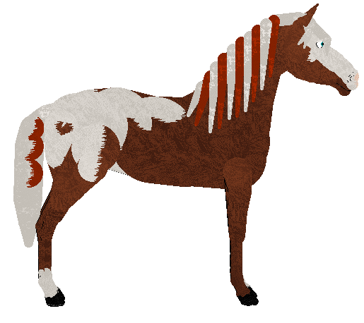petz145.gif