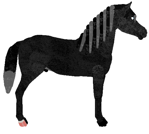 petz208.gif