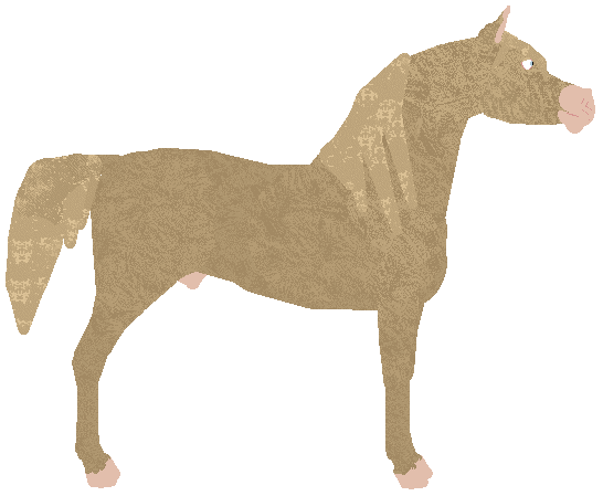 petz223.gif