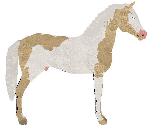 petz135.gif