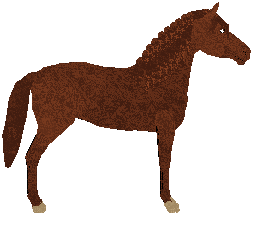 petz220.gif