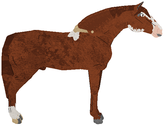 petz254.gif