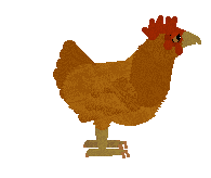 petz285.gif