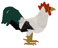 petz276.gif