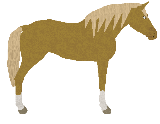 petz212.gif