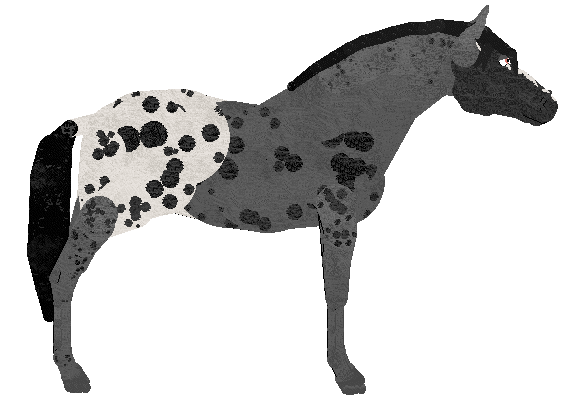 petz275.gif