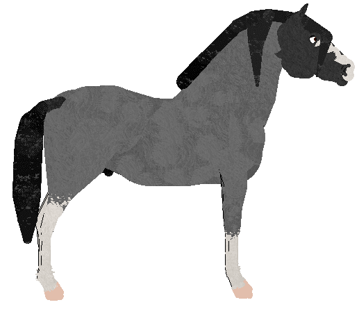 petz251.gif