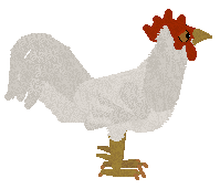 petz280.gif