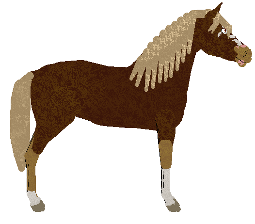 petz195.gif
