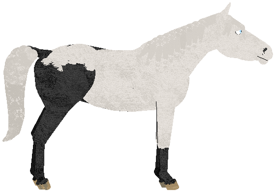 petz260.gif