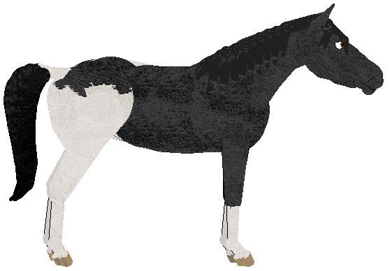 petz252.gif