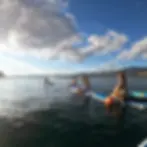 sunset-wine-paddleboard.webp