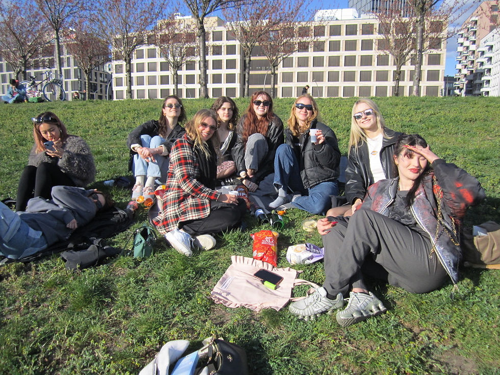 berlin picnic