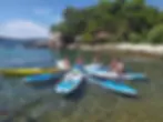 split-standuppaddle-tour-morning.webp