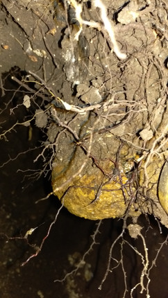 IMAG0580.jpg