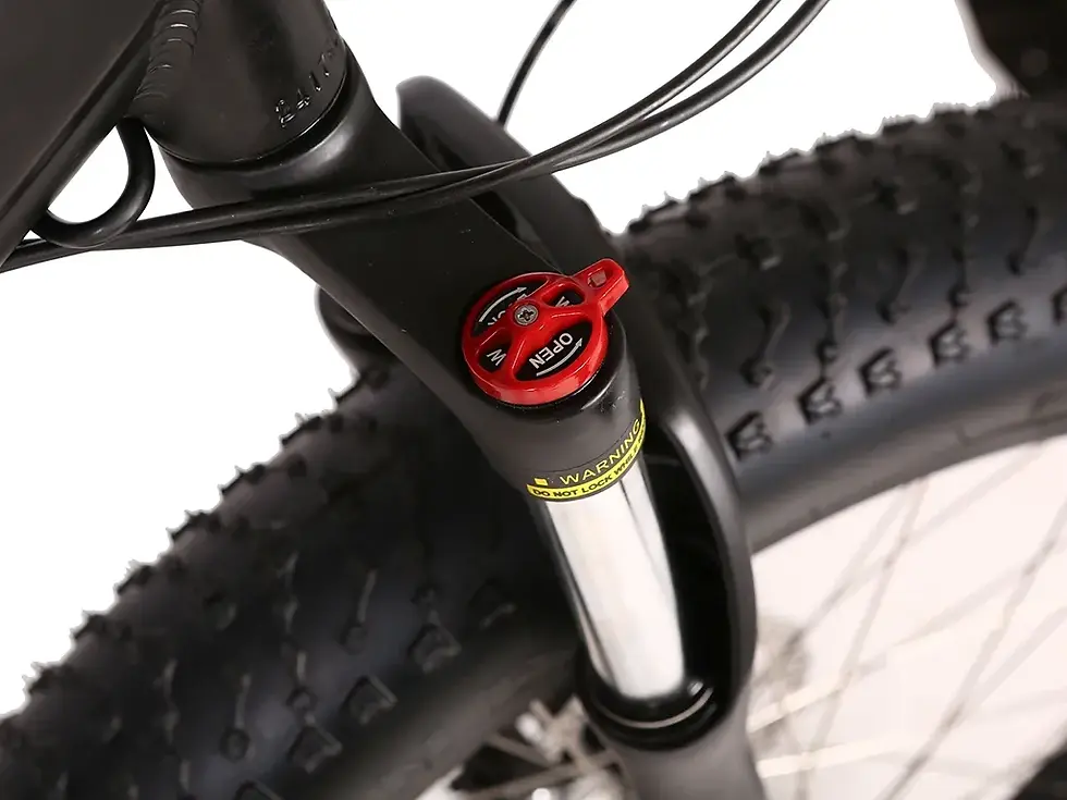 Thumbnail: X-Treme Rocky Road 48 Volt Fat Tire Electric Mountain Bicycle