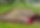 Screenshot 2025-02-01 at 6.07.31 PM.png