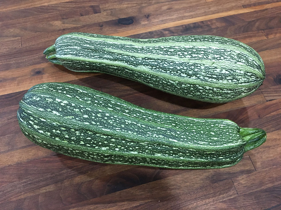 Zucchini Harvest