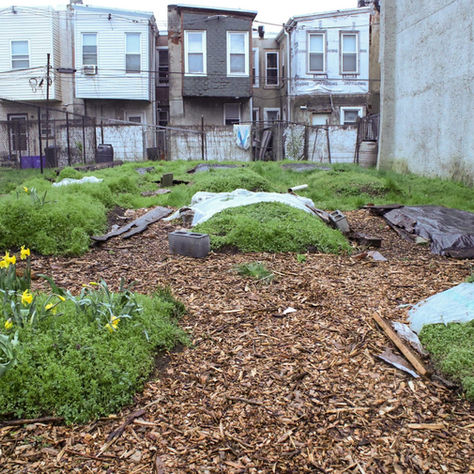 Community gardens can help combat rising food insecurity in Philly, but their future is uncertain
