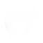 Mango Design Studios Logo Color1.png