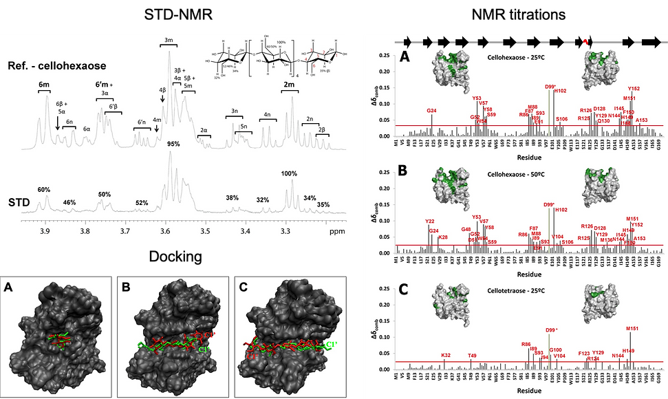 CtCBM11 binding.png