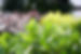 DSC05217.jpg