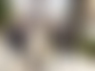 平成最後の天皇誕生日一般参賀ツアー&『変わる皇室』、その時報道は」