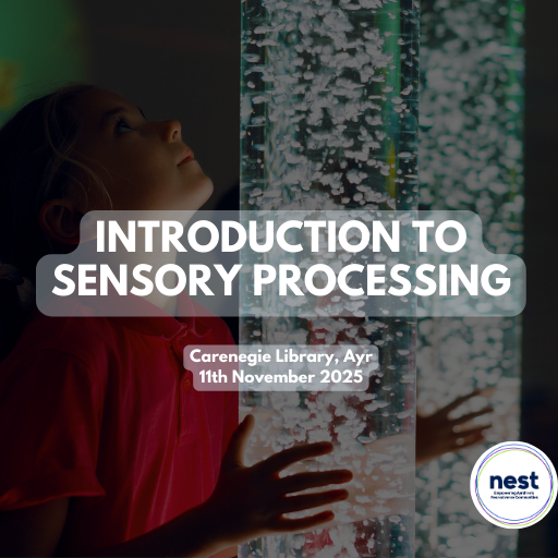 Introduction to Sensory Processing
