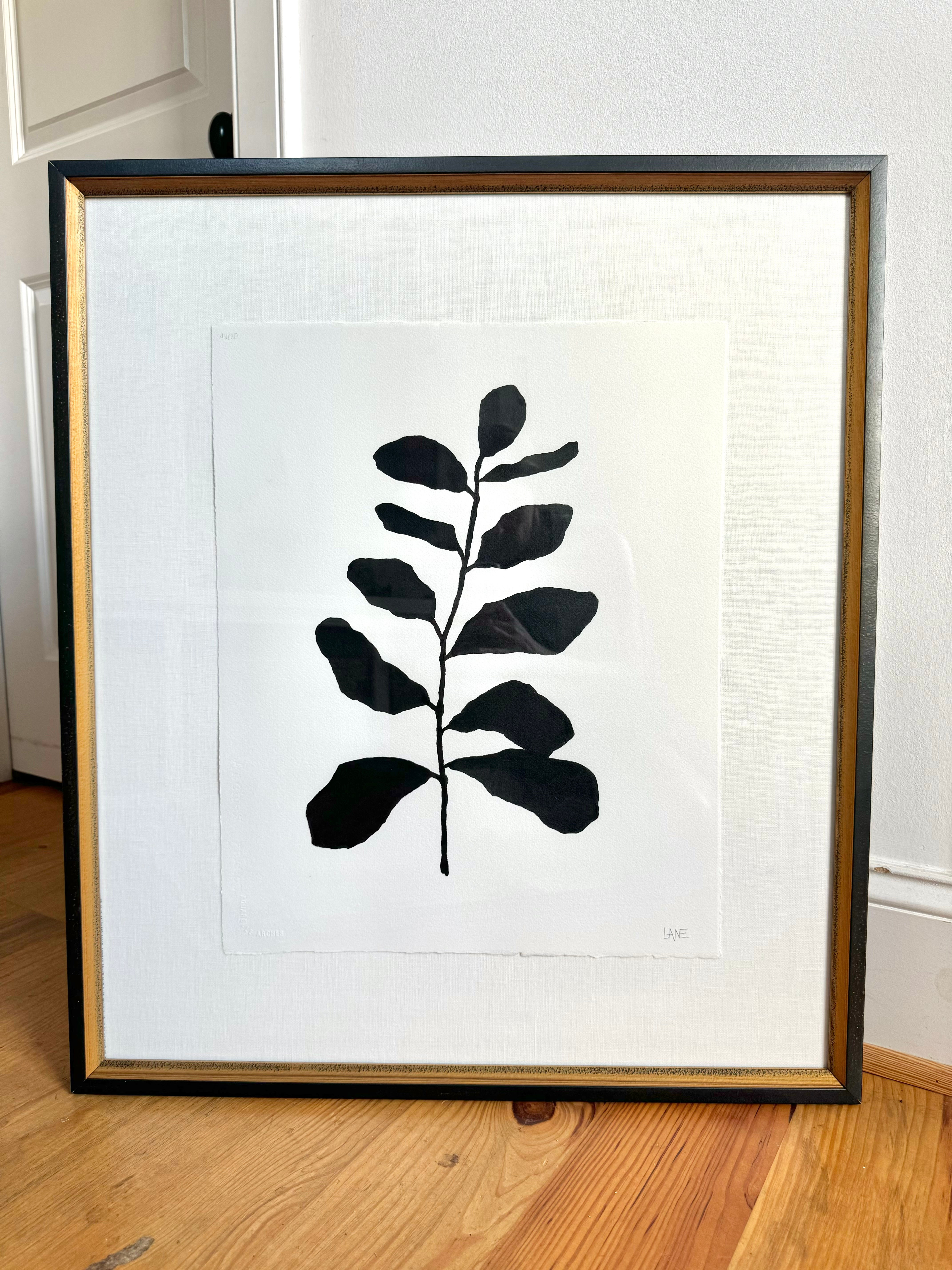 Modern Botanical - Lane Bethay