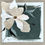 Thumbnail: Boite a Fleurs 3