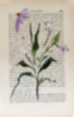 Delicate Vintage Book Paper Mini Flowers