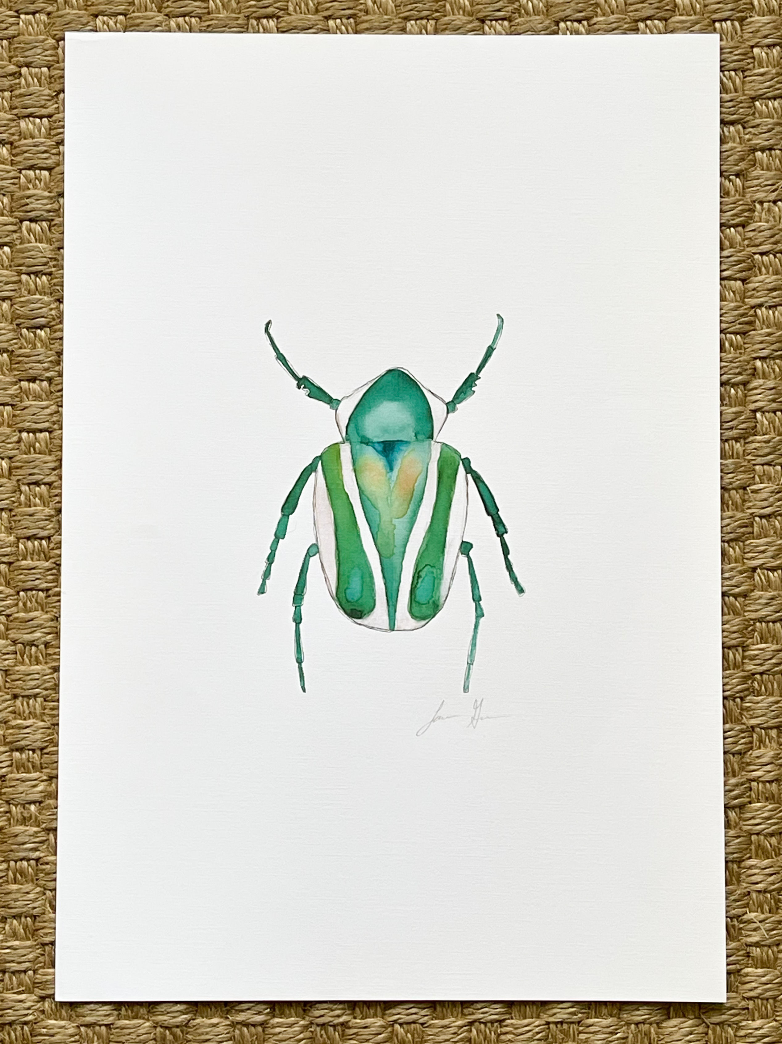 Green Bug