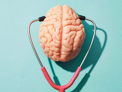 Patologias neuropsiquiátricas e a microbiota