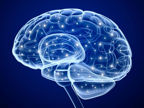 A microbiota e a saúde mental