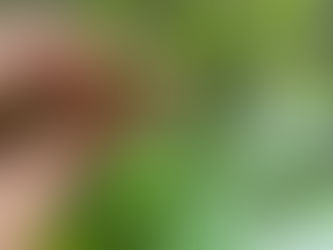 Decay, Abandonment, and the Unattractive in Nature