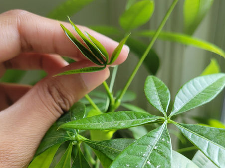 Decay, Abandonment, and the Unattractive in Nature