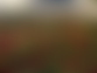 The Gardens of Versailles...