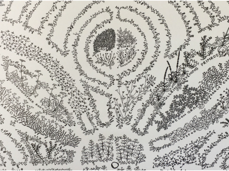 Can aestheticizing political narratives through landscape design be an ethical, future-oriented practice?