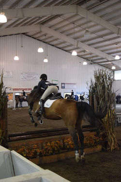 14883418_1613248202034933_3739719564485842162_o