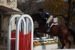 150232_1607105302139_1371360033_31816687_363129_n