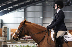 16836551_1103474023115133_7006966587536866198_o