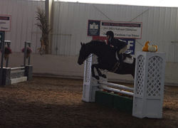 15138470_1636279859731767_5435791338292234877_o