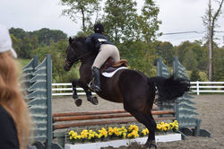 22791859_2094505920575823_1479683014950357249_o