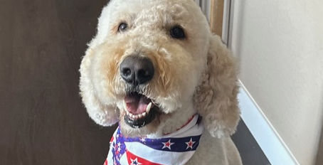 "Winning by Default? Not So Fast!"