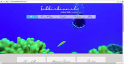 Scuba Diver and Two Fish