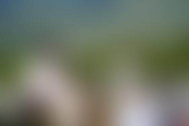 Book of Mormon sculpture garden breaks ground in Heber City